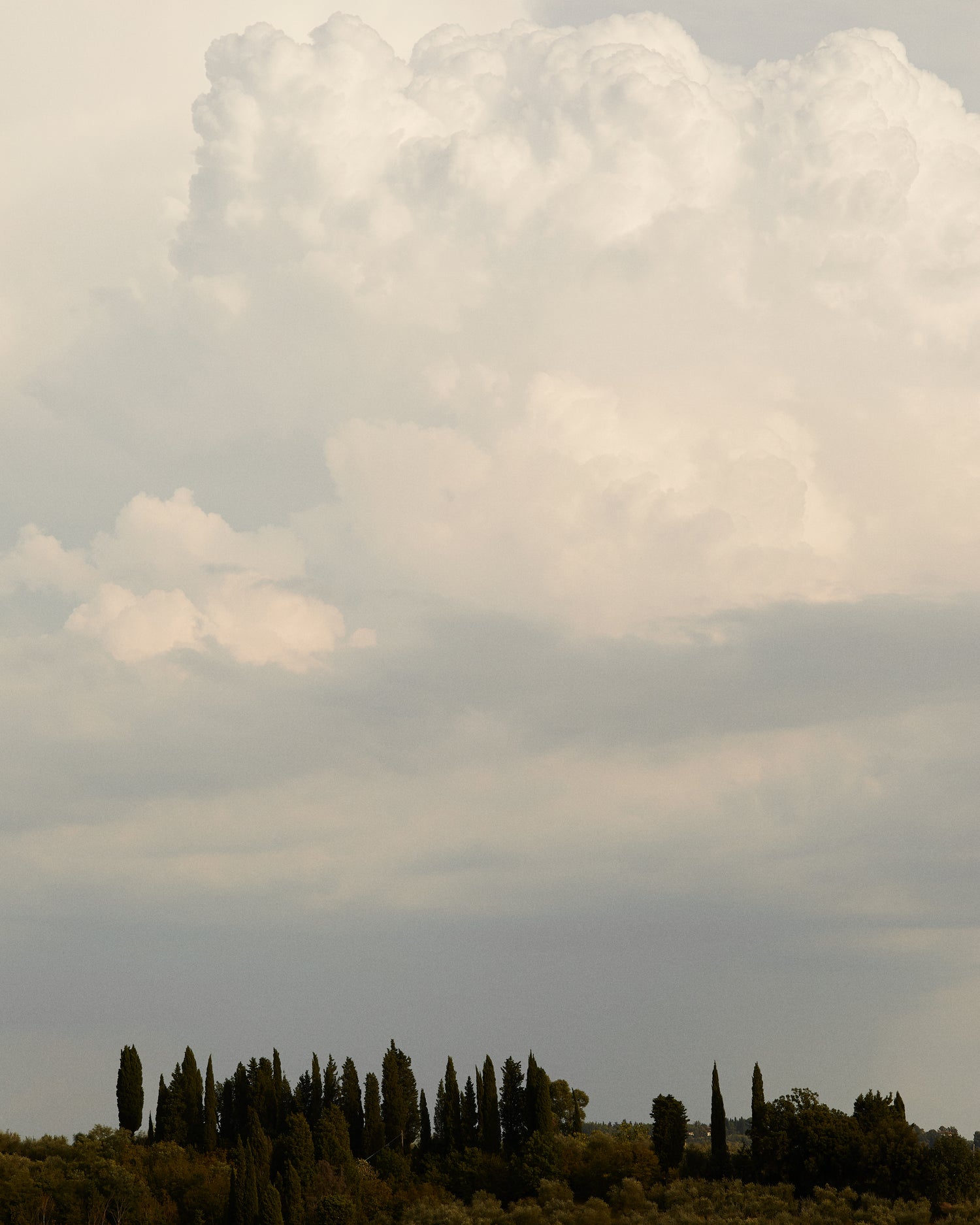 Viviana, Production Line Finishing